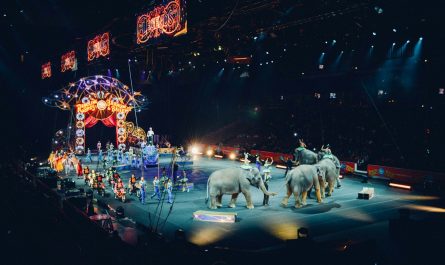 un spectacle d'éléphants gris dans un cirque
